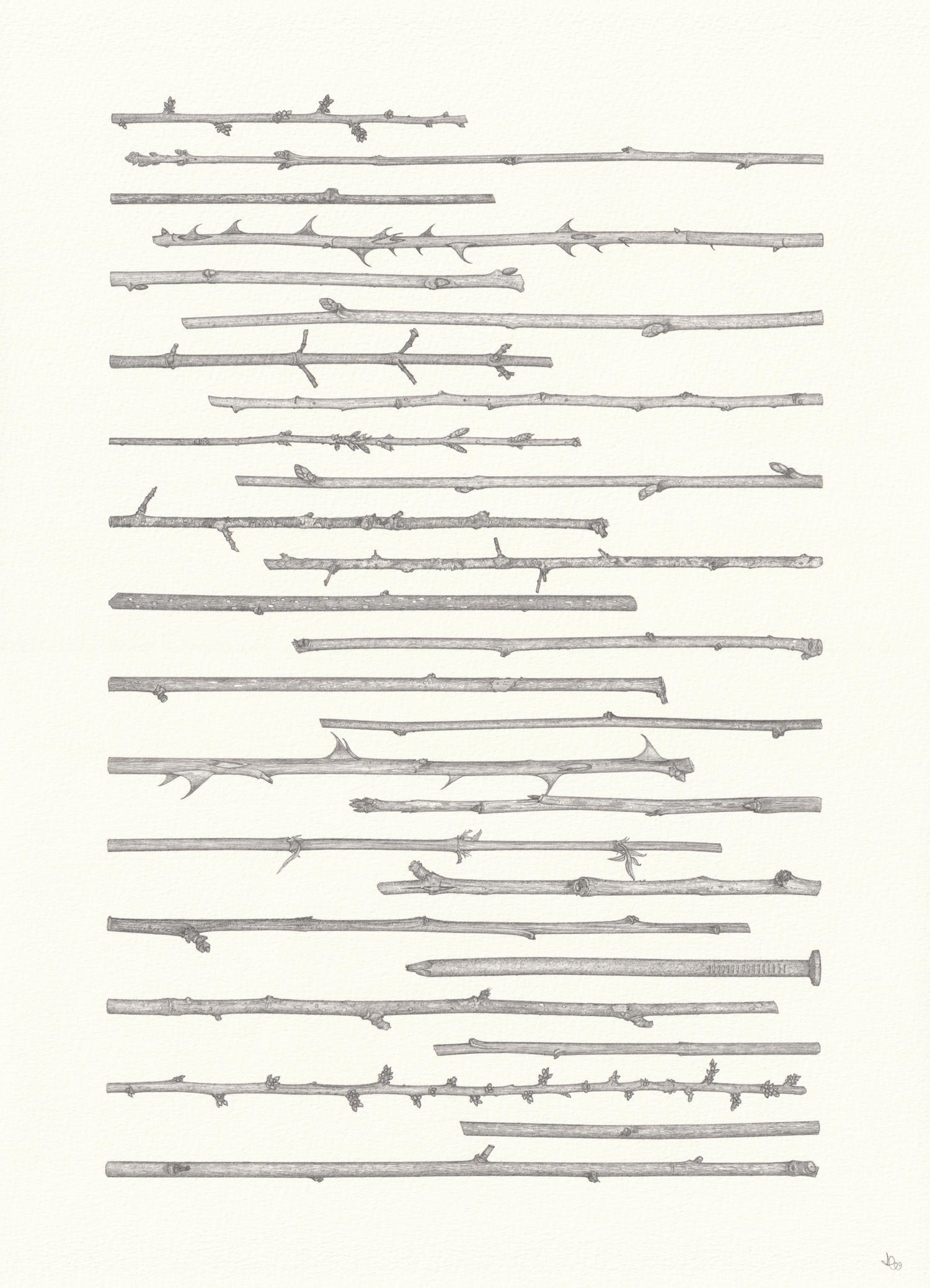 Diagonal Rungs (40 x 29 cm) pencil on paper